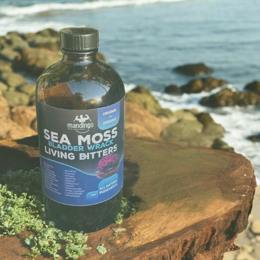 Sea Moss and Bladder Wracks with Living Bitters